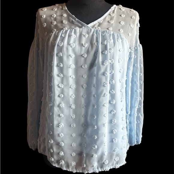 Blue Swiss Dot Long Sleeve Lined Top NWT Size Small - Picture 8 of 8